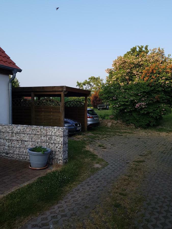 Seesternchen Apartment